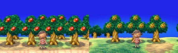 turning-over-a-new-leaf-episode-19-2