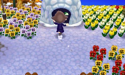 turning over a new leaf episode 21-1