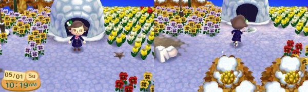turning over a new leaf episode 21-8