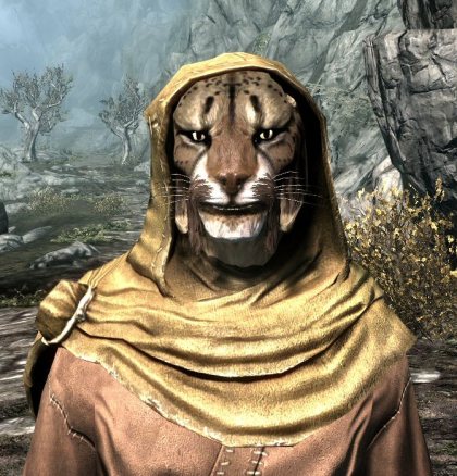 talking skull from thief 4 1