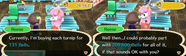 turnip disaster again1